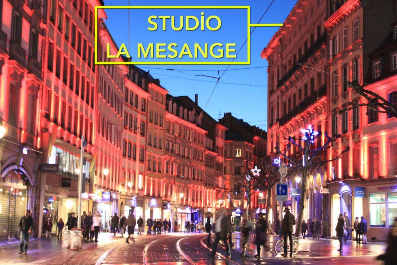 Studio La Mesange Estrasburgo Exterior foto